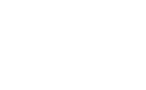 Castores